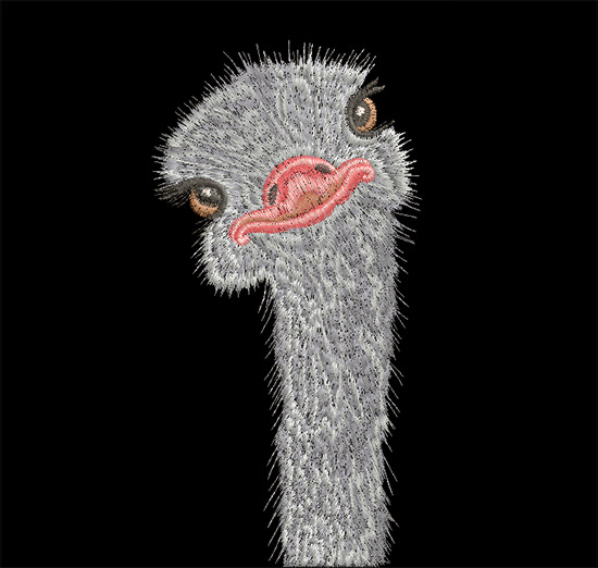 Machine Embroidery Design Ostrich