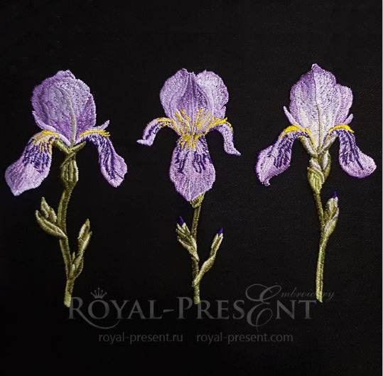 Irises Machine Embroidery Designs