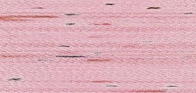 Madeira Rayon 40 2305