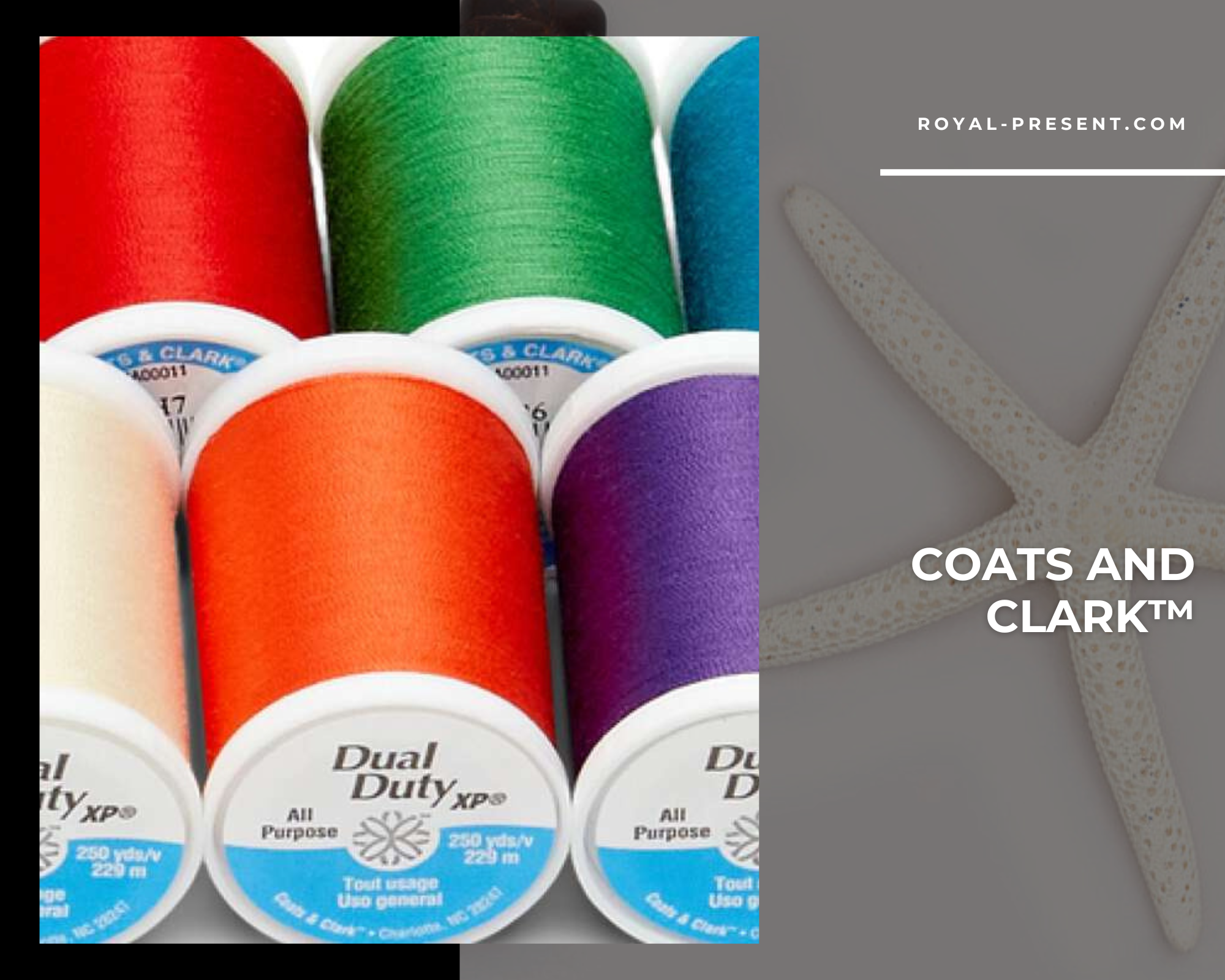 COATS AND CLARK™ Machine Embroidery Threads