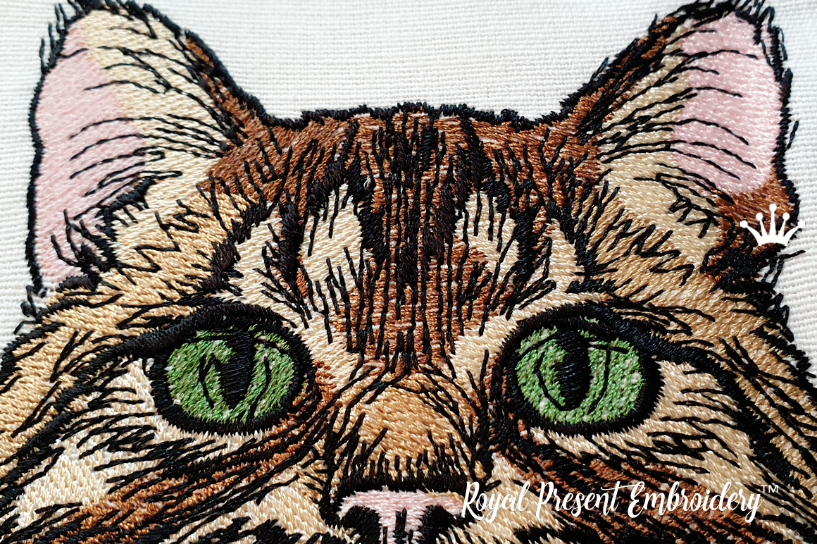 Cat Outline 11 Digital Download Machine Embroidery many formats available